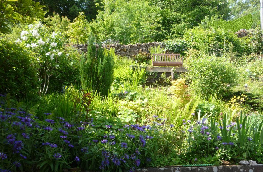 Bed and Breakfast The Great Grubb Totnes Esterno foto