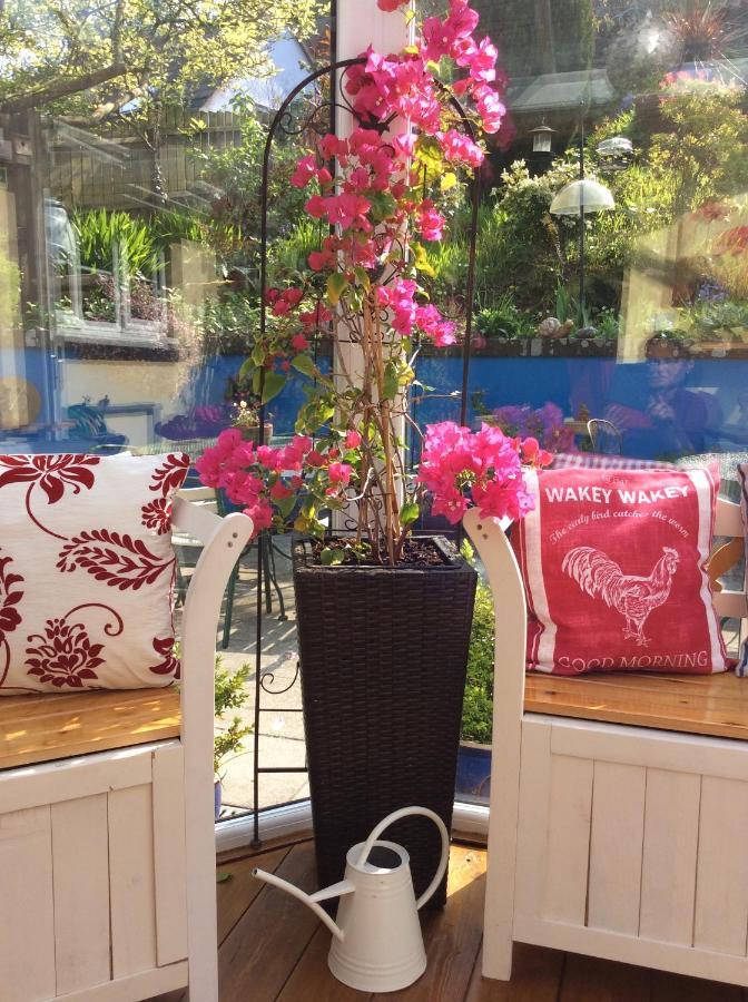 Bed and Breakfast The Great Grubb Totnes Esterno foto